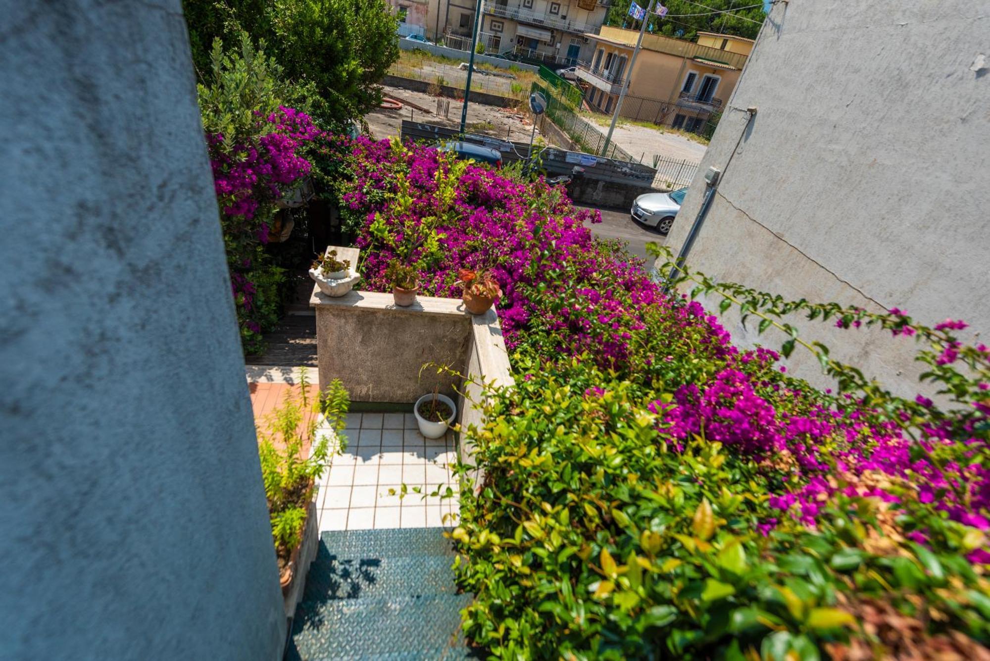 Terra Mia Bed & Breakfast Pompeï